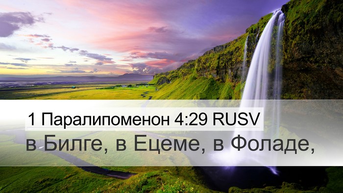 1 Паралипоменон 4:29 RUSV Bible Verse Image