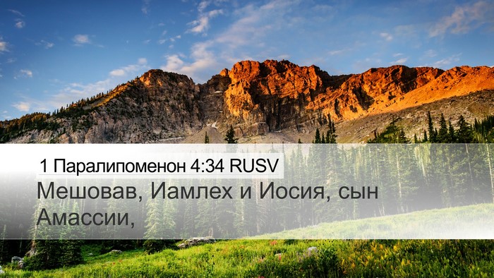 1 Паралипоменон 4:34 RUSV Bible Verse Image