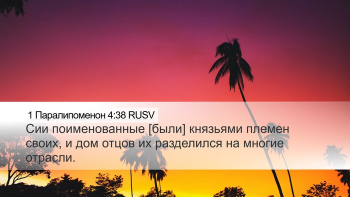 1 Паралипоменон 4:38 RUSV Desktop Wallpaper - Сии поименованные [были] - Desktop Bible Verse Wallpaper