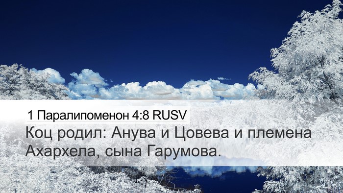 1 Паралипоменон 4:8 RUSV Desktop Wallpaper - Коц родил: Анува и Цовева и - Desktop Bible Verse Wallpaper
