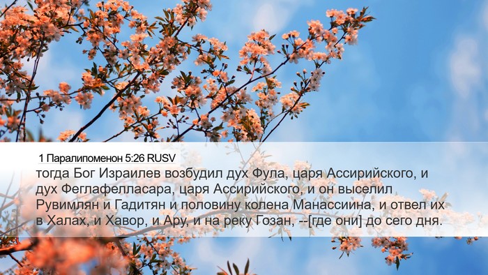1 Паралипоменон 5:26 RUSV Bible Verse Image