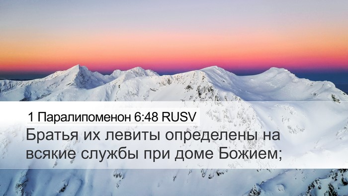 1 Паралипоменон 6:48 RUSV Bible Verse Image
