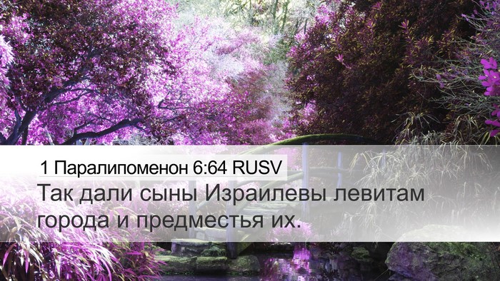 1 Паралипоменон 6:64 RUSV Desktop Wallpaper - Так дали сыны Израилевы - Desktop Bible Verse Wallpaper