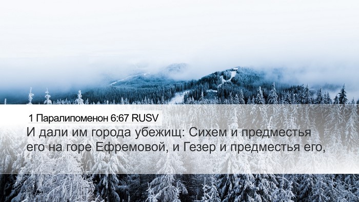 1 Паралипоменон 6:67 RUSV Bible Verse Image