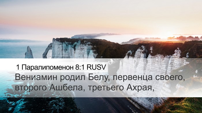 1 Паралипоменон 8:1 RUSV Bible Verse Image