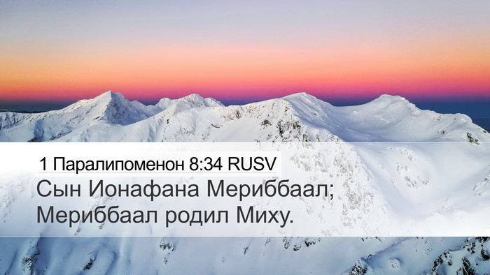 1 Паралипоменон 8:34 RUSV Bible Verse Image
