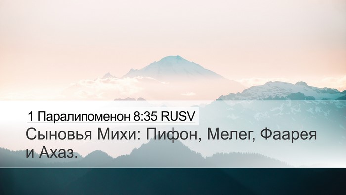 1 Паралипоменон 8:35 RUSV Bible Verse Image