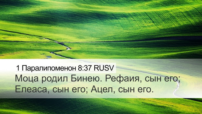 1 Паралипоменон 8:37 RUSV Desktop Wallpaper - Моца родил Бинею. Рефаия, - Desktop Bible Verse Wallpaper