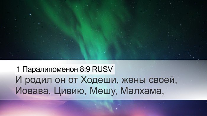 1 Паралипоменон 8:9 RUSV Desktop Wallpaper - И родил он от Ходеши, жены - Desktop Bible Verse Wallpaper