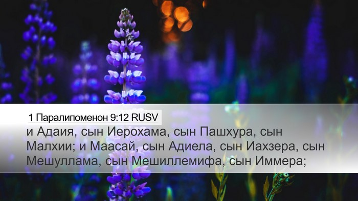 1 Паралипоменон 9:12 RUSV Bible Verse Image
