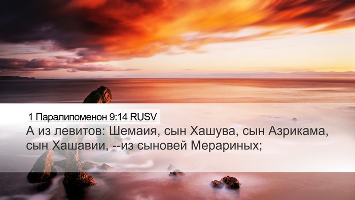 1 Паралипоменон 9:14 RUSV Bible Verse Image