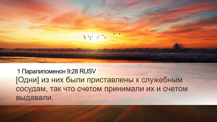 1 Паралипоменон 9:28 RUSV Bible Verse Image