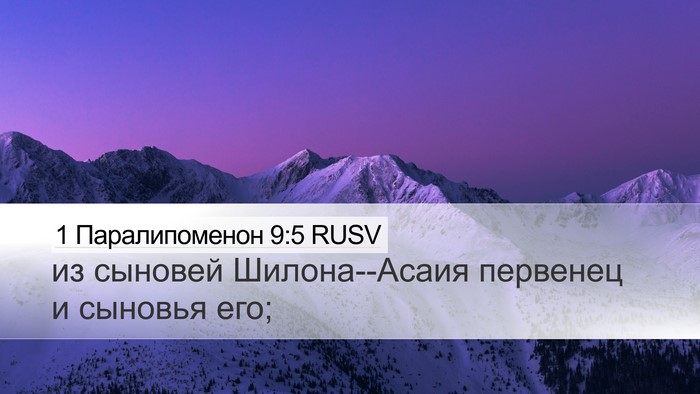 1 Паралипоменон 9:5 RUSV Bible Verse Image