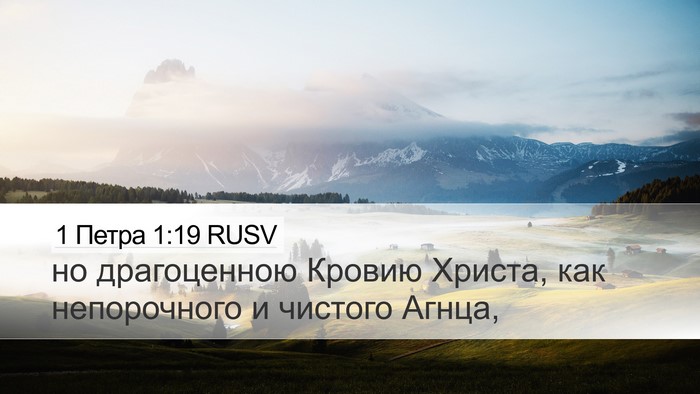 1 Петра 1:19 RUSV Bible Verse Image