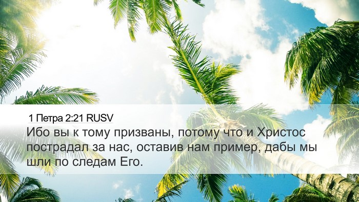 1 Петра 2:21 RUSV Bible Verse Image
