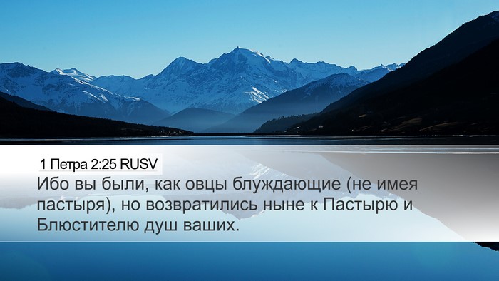 1 Петра 2:25 RUSV Bible Verse Image