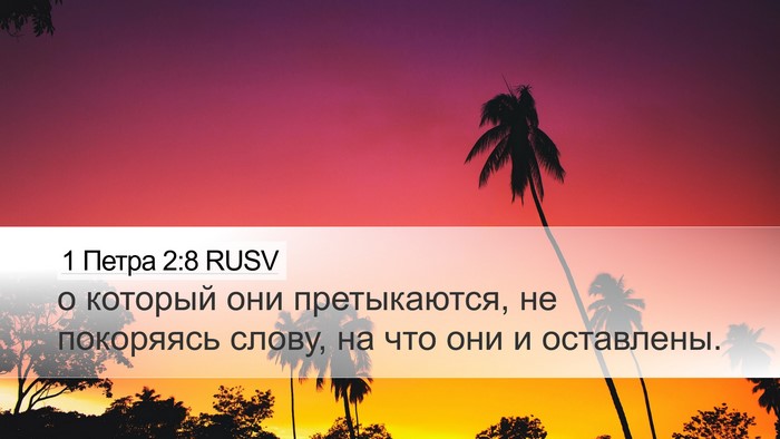 1 Петра 2:8 RUSV Bible Verse Image