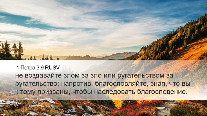 1 Петра 3:9 RUSV Bible Verse Image