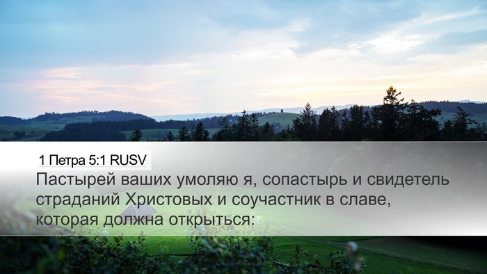 1 Петра 5:1 RUSV Bible Verse Image