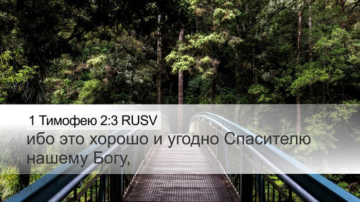 1 Тимофею 2:3 RUSV Desktop Wallpaper - ибо это хорошо и угодно - Desktop Bible Verse Wallpaper