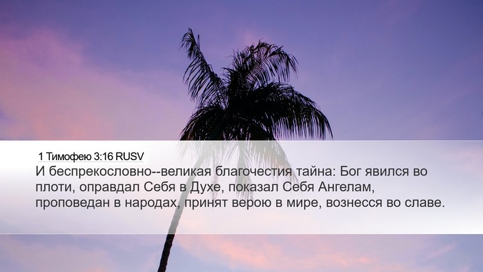 1 Тимофею 3:16 RUSV Bible Verse Image