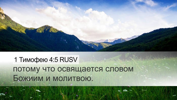 1 Тимофею 4:5 RUSV Bible Verse Image