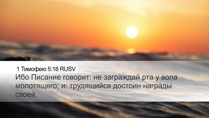 1 Тимофею 5:18 RUSV Desktop Wallpaper - Ибо Писание говорит: не - Desktop Bible Verse Wallpaper