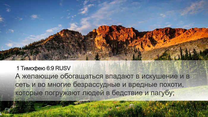1 Тимофею 6:9 RUSV Bible Verse Image