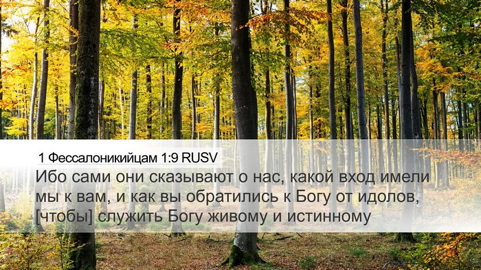 1 Фессалоникийцам 1:9 RUSV Bible Verse Image