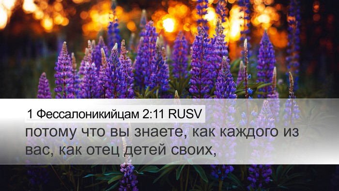 1 Фессалоникийцам 2:11 RUSV Bible Verse Image