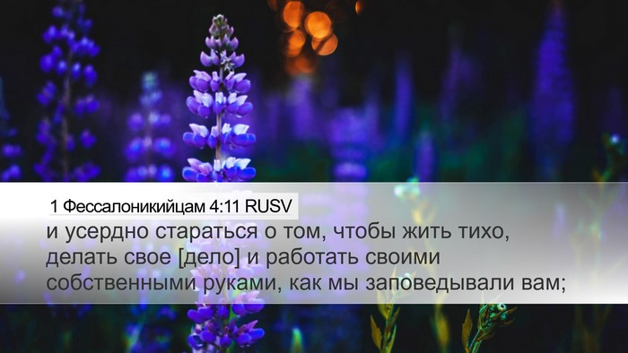 1 Фессалоникийцам 4:11 RUSV Bible Verse Image