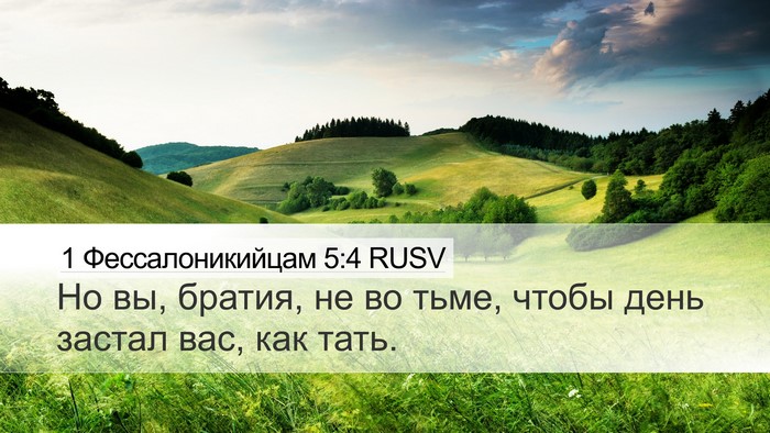 1 Фессалоникийцам 5:4 RUSV Bible Verse Image