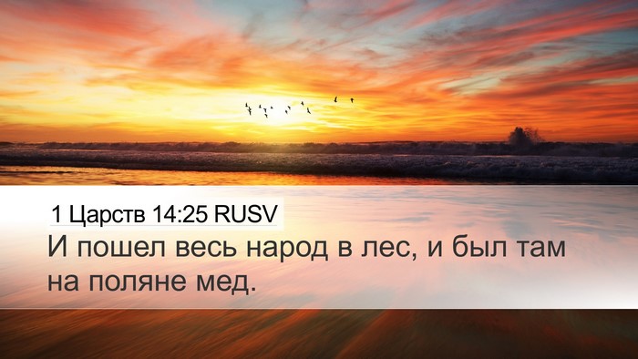 1 Царств 14:25 RUSV Bible Verse Image