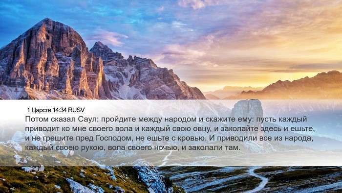 1 Царств 14:34 RUSV Desktop Wallpaper - Потом сказал Саул: - Desktop Bible Verse Wallpaper