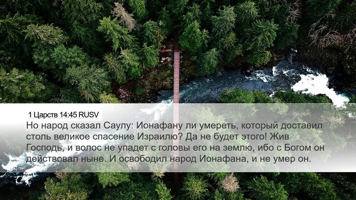 1 Царств 14:45 RUSV Bible Verse Image