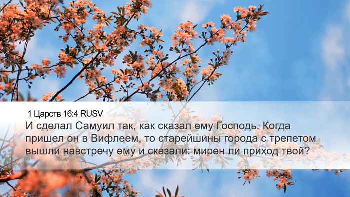 1 Царств 16:4 RUSV Bible Verse Image