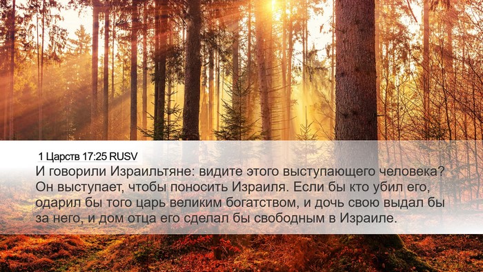 1 Царств 17:25 RUSV Bible Verse Image