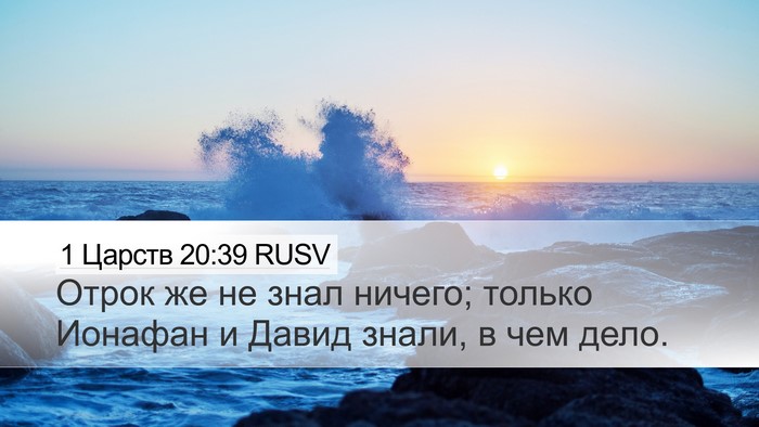 1 Царств 20:39 RUSV Desktop Wallpaper - Отрок же не знал ничего; - Desktop Bible Verse Wallpaper