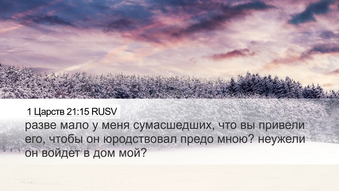 1 Царств 21:15 RUSV Desktop Wallpaper - разве мало у меня - Desktop Bible Verse Wallpaper