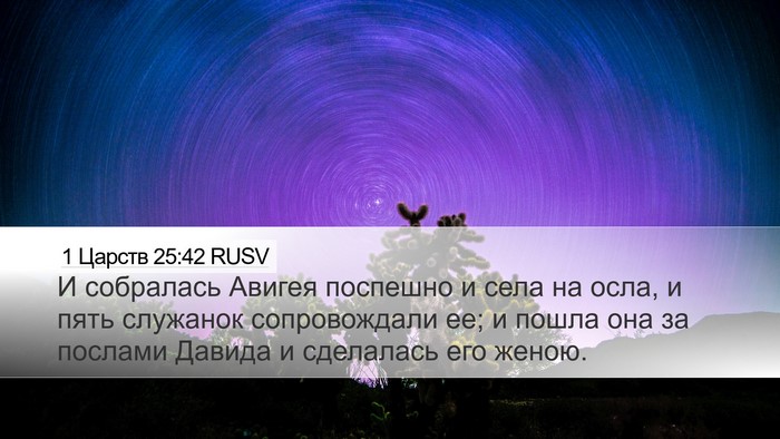 1 Царств 25:42 RUSV Bible Verse Image