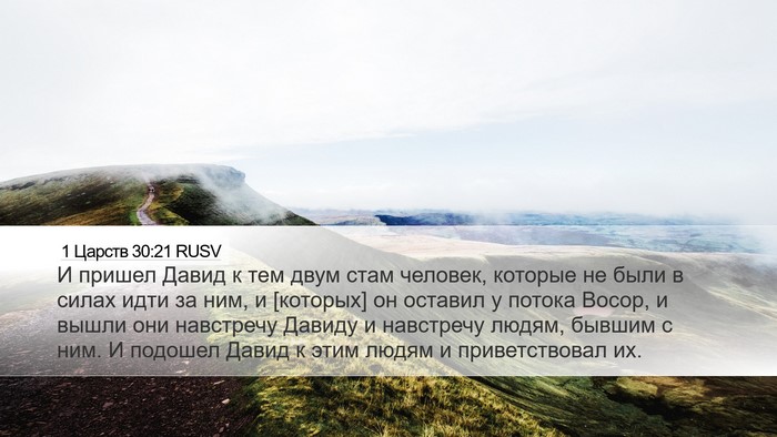1 Царств 30:21 RUSV Bible Verse Image