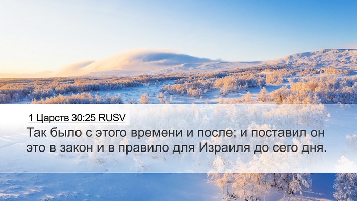 1 Царств 30:25 RUSV Bible Verse Image