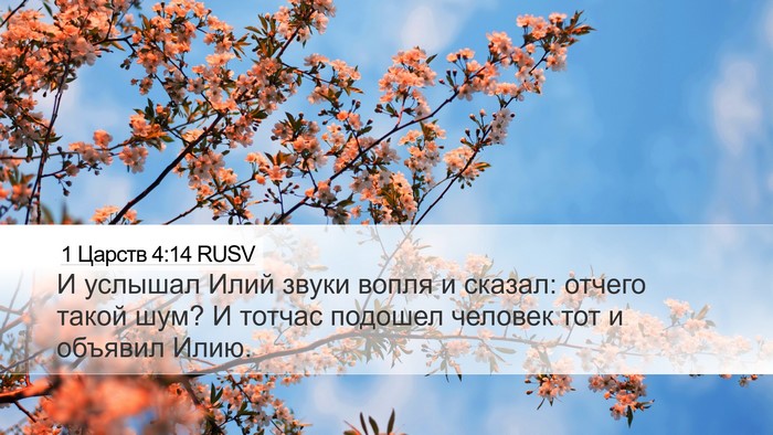 1 Царств 4:14 RUSV Desktop Wallpaper - И услышал Илий звуки вопля - Desktop Bible Verse Wallpaper