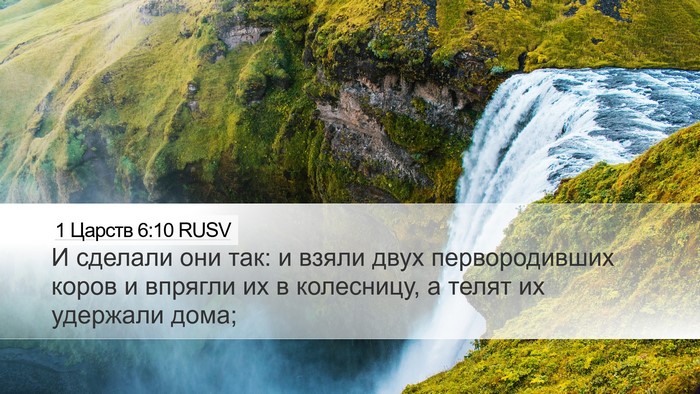 1 Царств 6:10 RUSV Desktop Wallpaper - И сделали они так: и взяли - Desktop Bible Verse Wallpaper