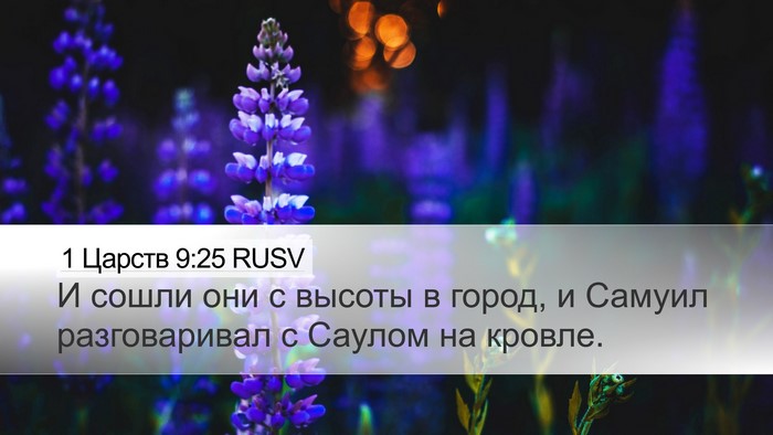 1 Царств 9:25 RUSV Desktop Wallpaper - И сошли они с высоты в - Desktop Bible Verse Wallpaper