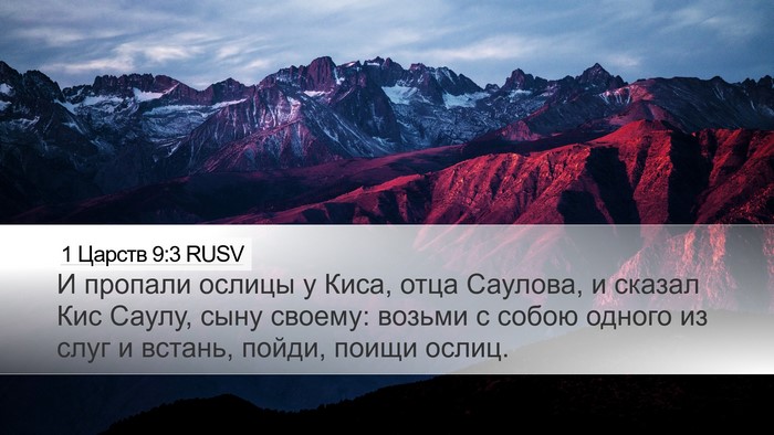 1 Царств 9:3 RUSV Desktop Wallpaper - И пропали ослицы у Киса, - Desktop Bible Verse Wallpaper