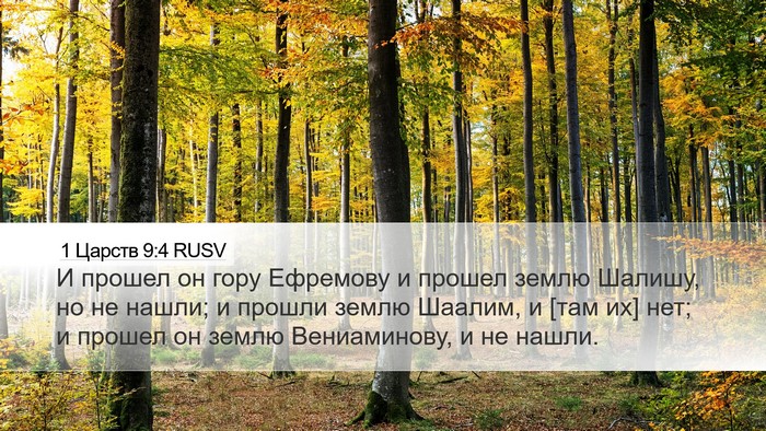 1 Царств 9:4 RUSV Desktop Wallpaper - И прошел он гору Ефремову и - Desktop Bible Verse Wallpaper