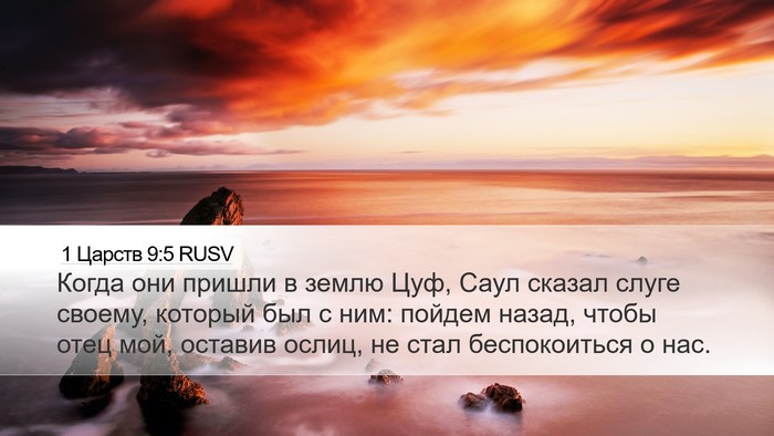 1 Царств 9:5 RUSV Desktop Wallpaper - Когда они пришли в землю - Desktop Bible Verse Wallpaper