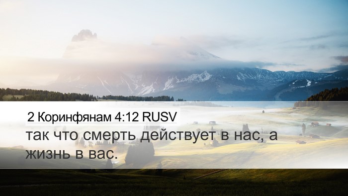 2 Коринфянам 4:12 RUSV Desktop Wallpaper - так что смерть действует в - Desktop Bible Verse Wallpaper