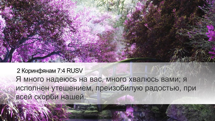 2 Коринфянам 7:4 RUSV Desktop Wallpaper - Я много надеюсь на вас, - Desktop Bible Verse Wallpaper